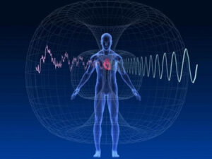 Inson magnit maydonini his qila oladimi?