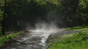 Petrikor nima va u qayerdan paydo bo’ladi?