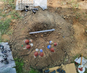 Olimlar dinozavrlar tuxumini qanday bosib yotganini aniqlashdi