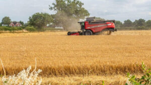 Karbonat angidrid sabab oziq-ovqat tarkibida zaharli qo‘rg‘oshin ortib bormoqda — tadqiqot