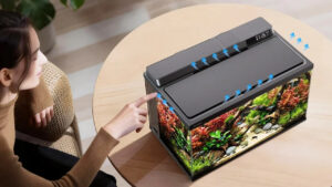 Xitoyda Dangbei Smart Fish Tank intellektual akvariumi anons qilindi