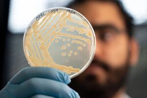 Ученые обнаружили живые микробы на мумии возрастом 5300 лет